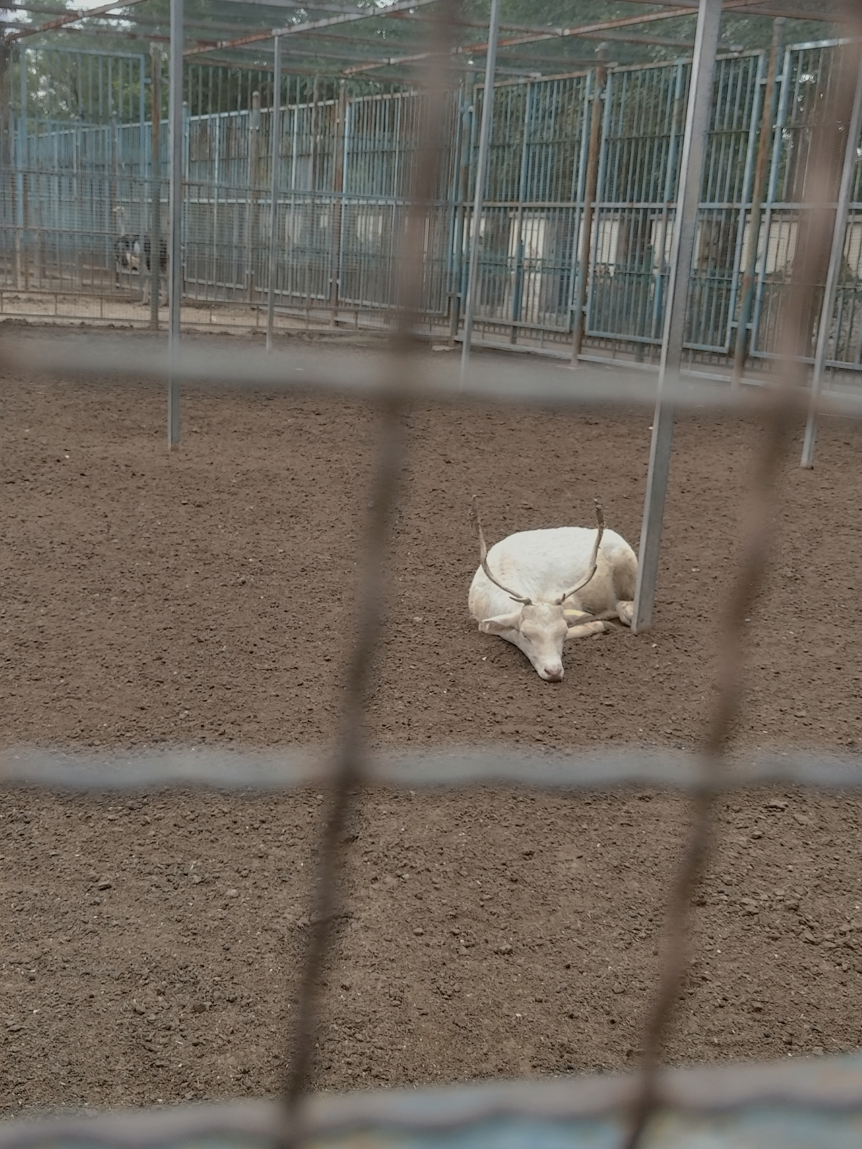 作诗的方法之看图说话